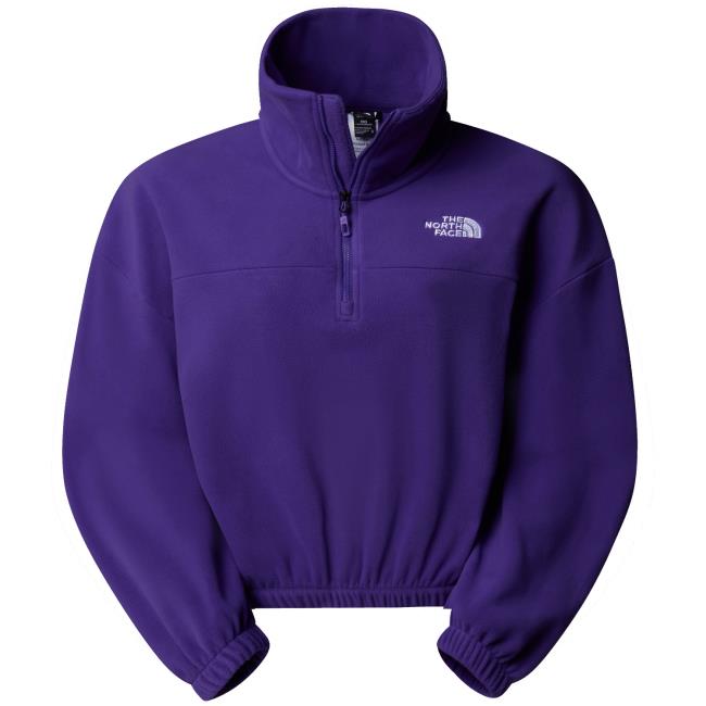 the north face  W 100 GLACIER HZ FLEECE Peak Purple