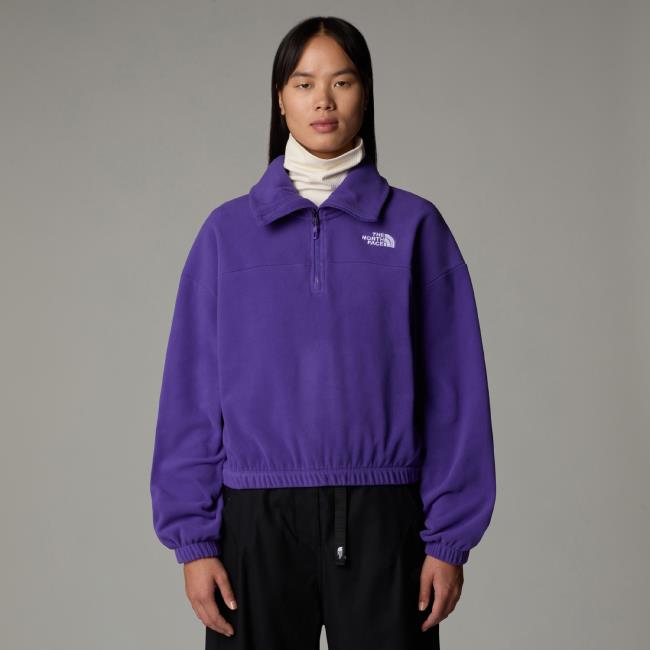 the north face  W 100 GLACIER HZ FLEECE Peak Purple