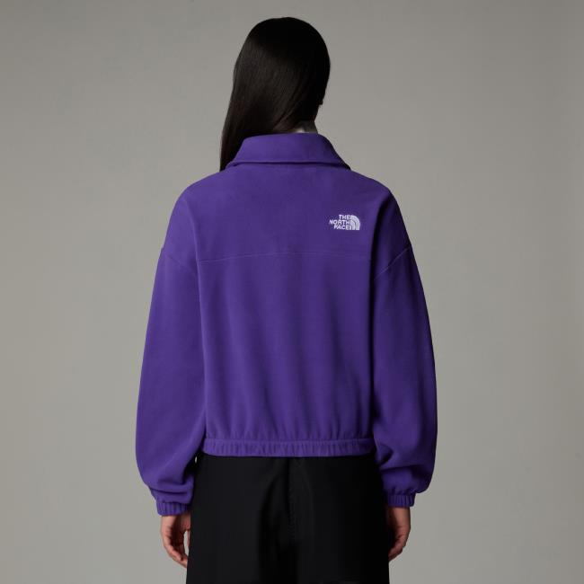 the north face  W 100 GLACIER HZ FLEECE Peak Purple