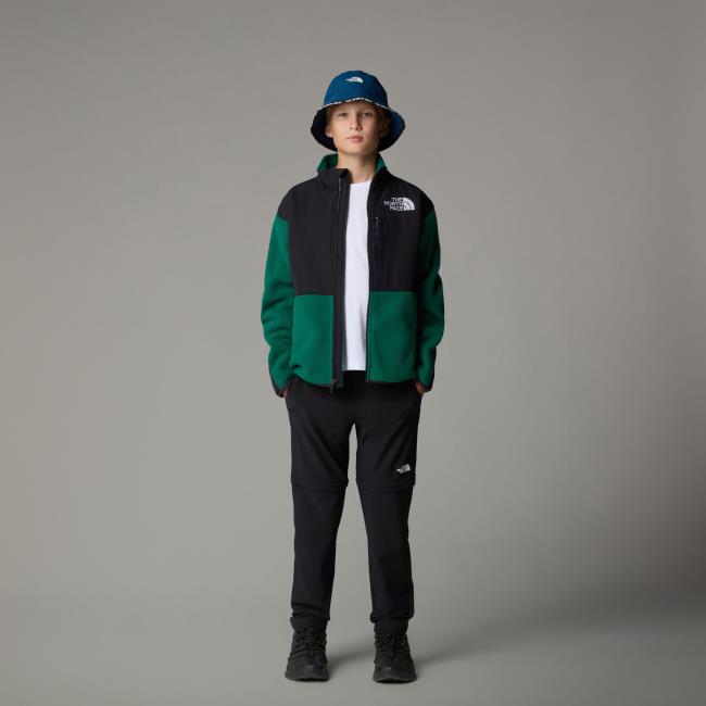  the north face Exploration Convertible Pant