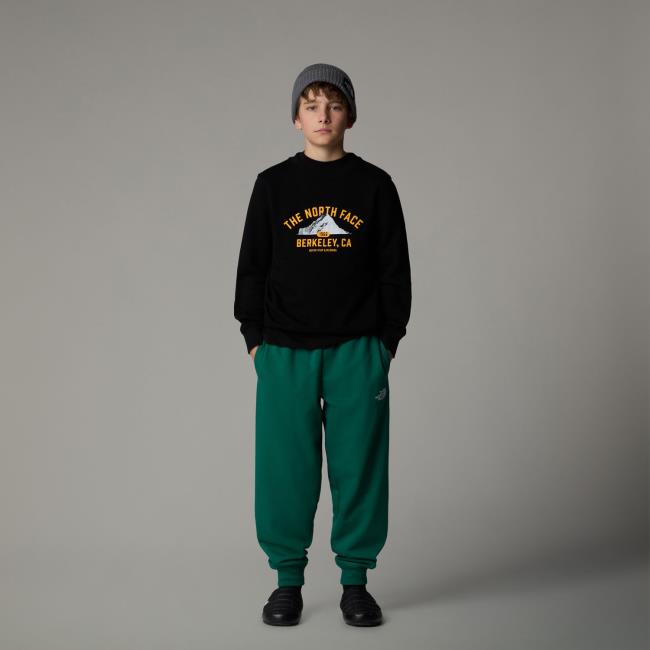 The North Face Teen Varsity Graphic Relaxed Crew