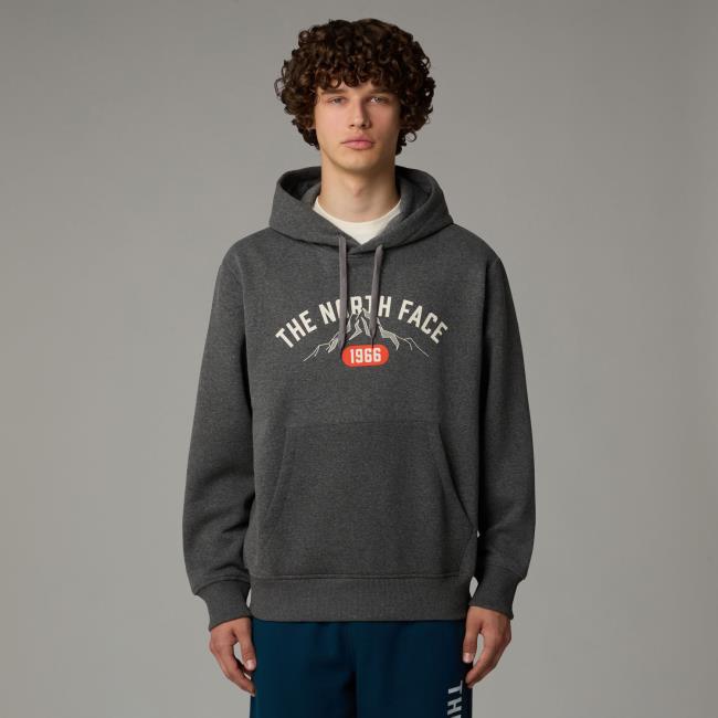 Sudadera the north face Hoodie Varsity Graphic