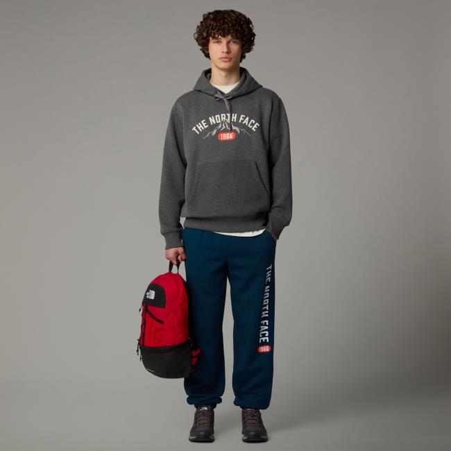 Sudadera the north face Hoodie Varsity Graphic