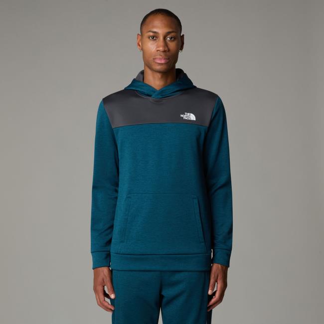  the north face Reaxion Fleece P/o
