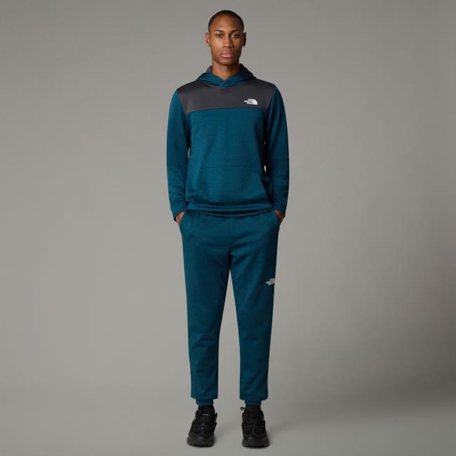  the north face Reaxion Fleece P/o