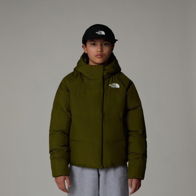  the north face North Down Hooded Jacket Girl