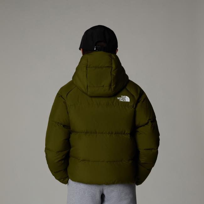  the north face North Down Hooded Jacket Girl