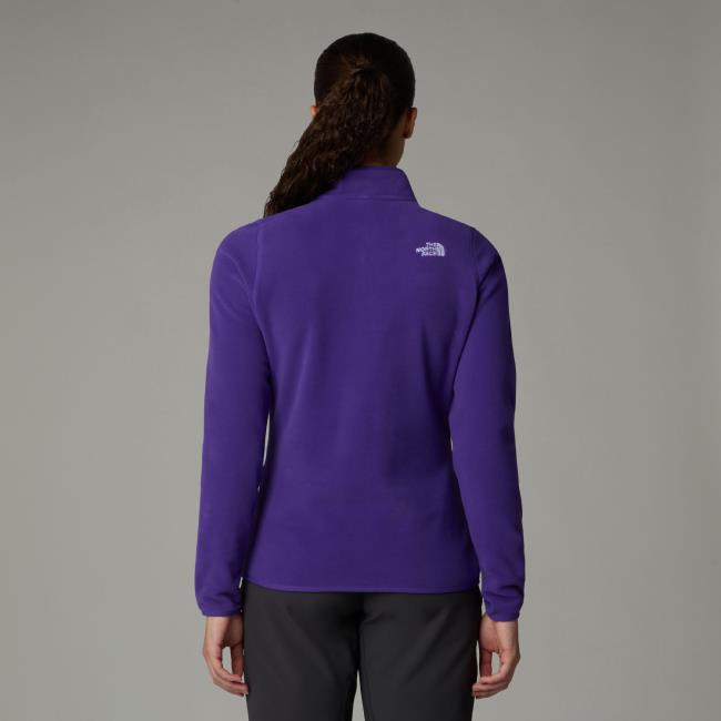  the north face 100 Glacier 1/4 Zip