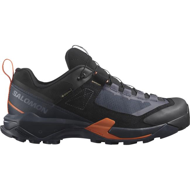  salomon X Ultra Alpine Gtx
