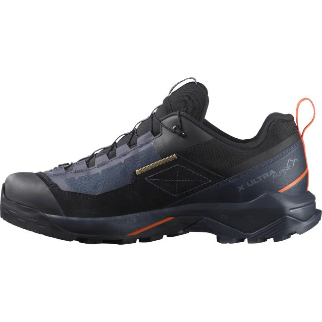  salomon X Ultra Alpine Gtx
