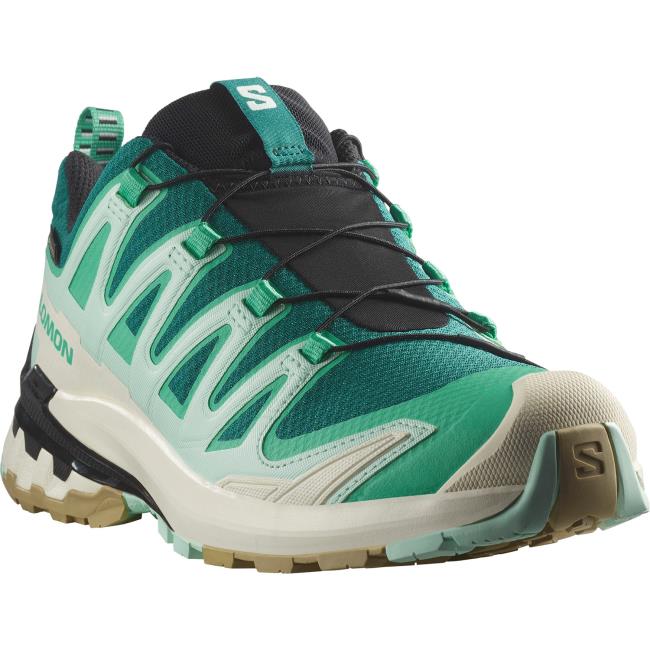 Salomon Xa Pro 3d V9 Gtx W