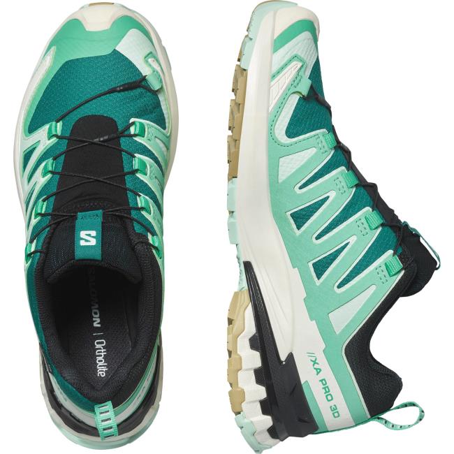 Salomon Xa Pro 3d V9 Gtx W