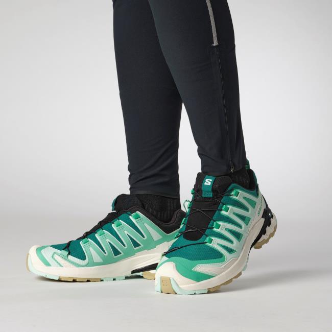 Salomon Xa Pro 3d V9 Gtx W