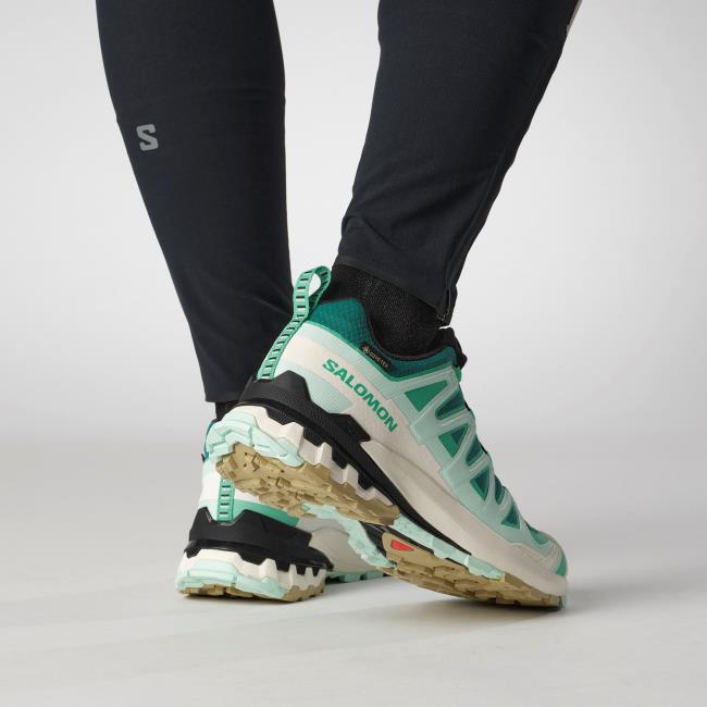 Salomon Xa Pro 3d V9 Gtx W