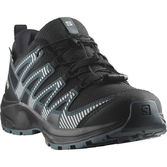  salomon Xa Pro V8 WP J