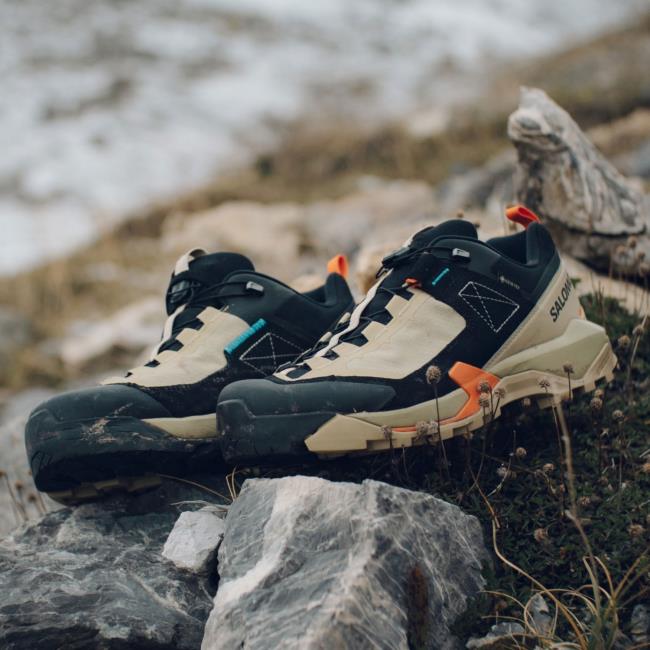  salomon X ULTRA ALPINE GTX Sponge/Black/R
