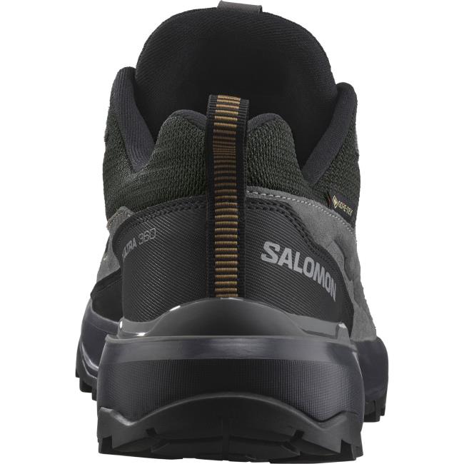 Wandelschoenen Salomon X Ultra 360 Ltr Gtx
