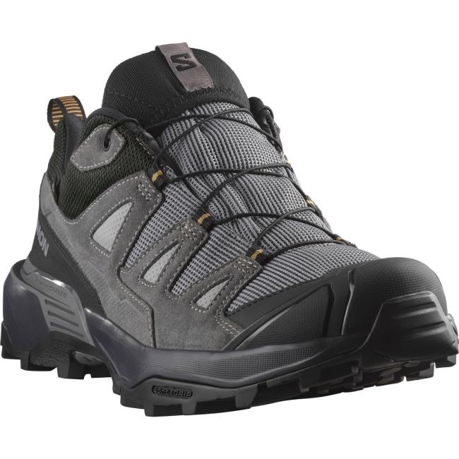 Wandelschoenen Salomon X Ultra 360 Ltr Gtx