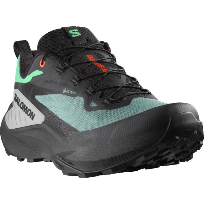 Wandelschoenen Salomon Genesis Gtx