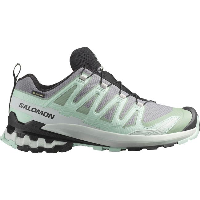 salomon  Xa Pro 3D V9 Gtx W