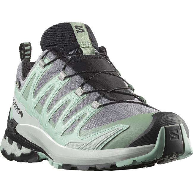 salomon  Xa Pro 3D V9 Gtx W