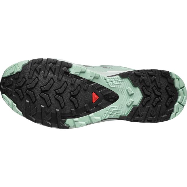 salomon  Xa Pro 3D V9 Gtx W