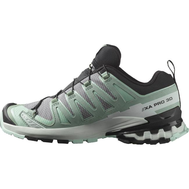 salomon  Xa Pro 3D V9 Gtx W