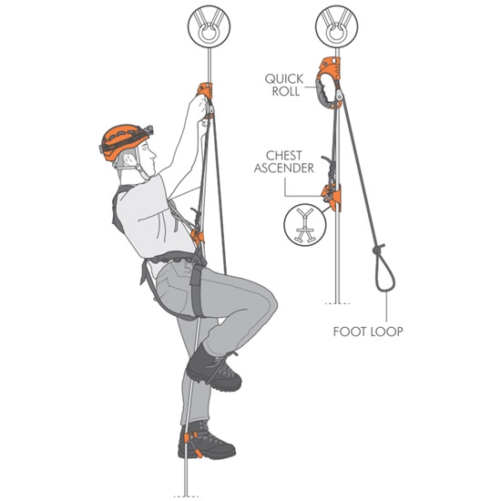  climbing technology pro Quick-Roll 8-13 mm Derecha