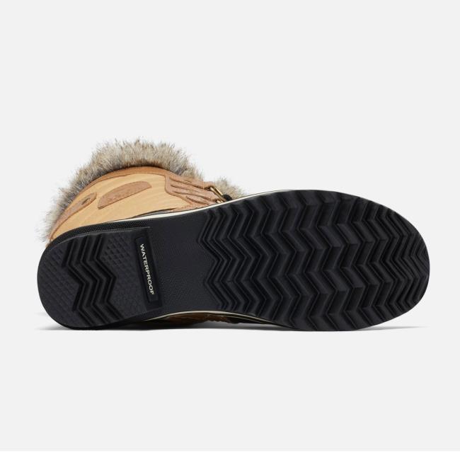  sorel Tofino II