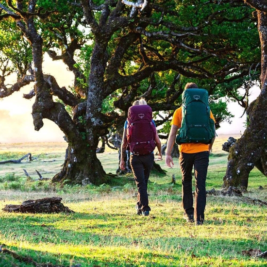 Osprey Renn 65 Aurora Purple