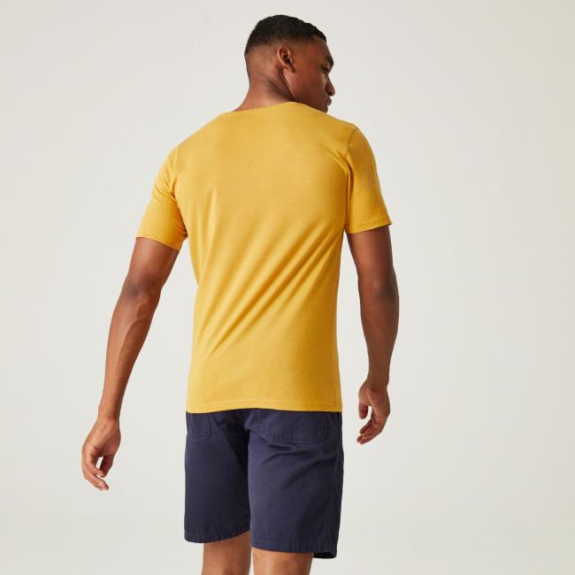 regatta  Cline VIII T-Shirt
