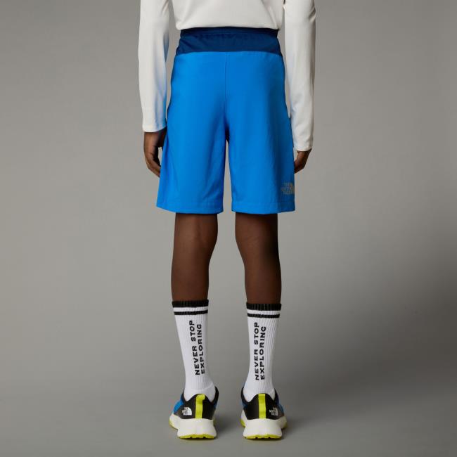  the north face B REACTOR SHORT Hero Blue