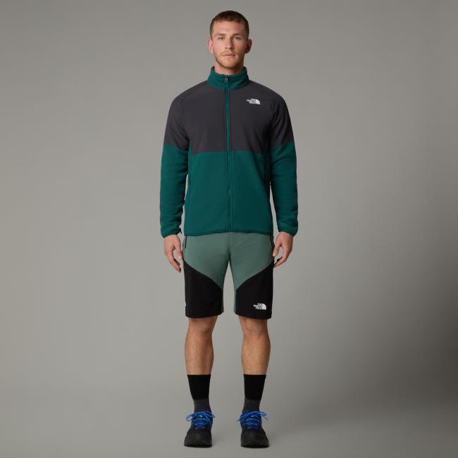  the north face M Felik Slim Taper Short