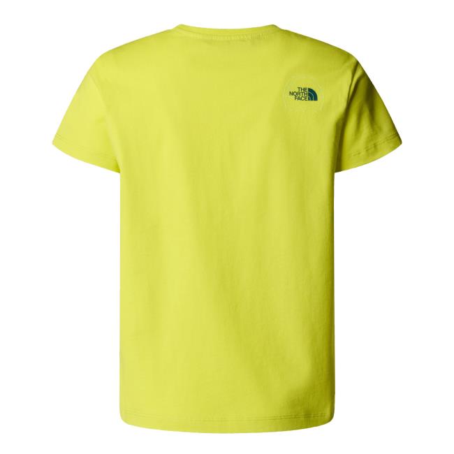  the north face B GRAPHIC RELAXED S/S TEE Sulphur Spring