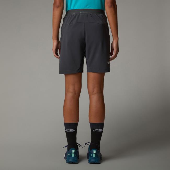 The North Face Felik Slim Tapered Short W