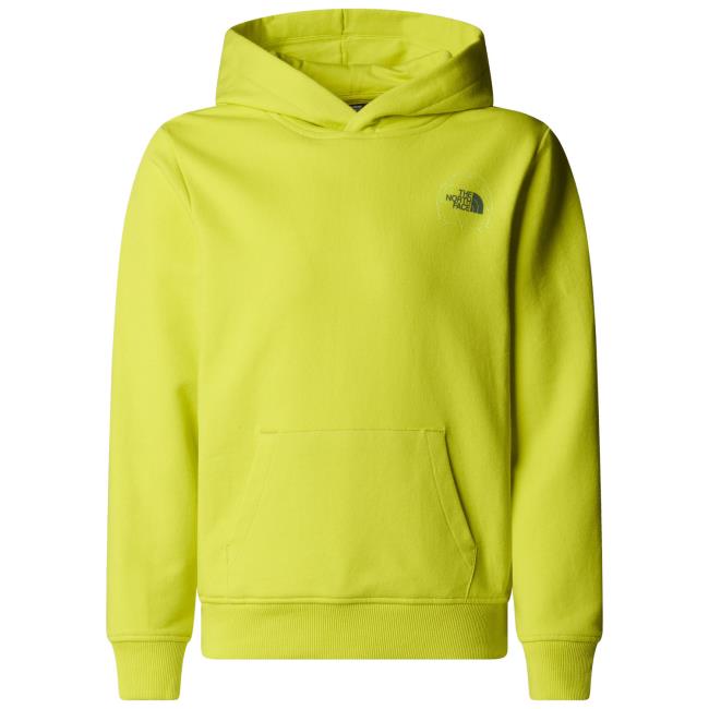  the north face B GRAPHIC RELAXED HO Sulphur Spring Gree