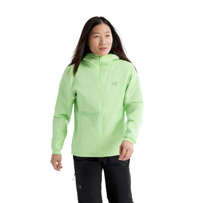  arc'teryx Atom Hoody W
