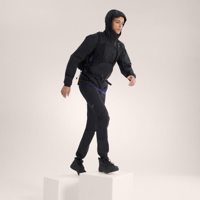 Arc'teryx Atom Hoody