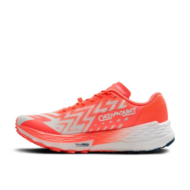 Brooks Catamount 4 W