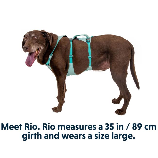 Ruffwear Flagine