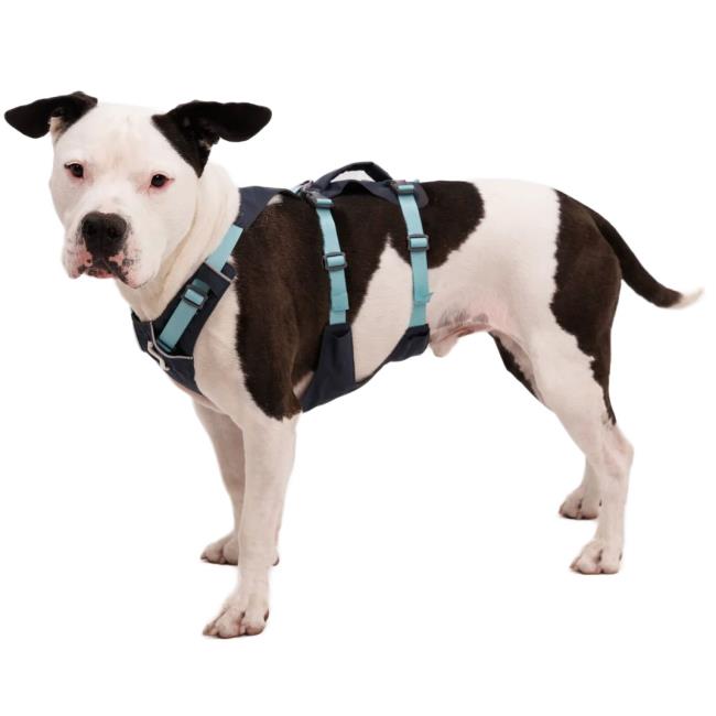 Ruffwear Flagine