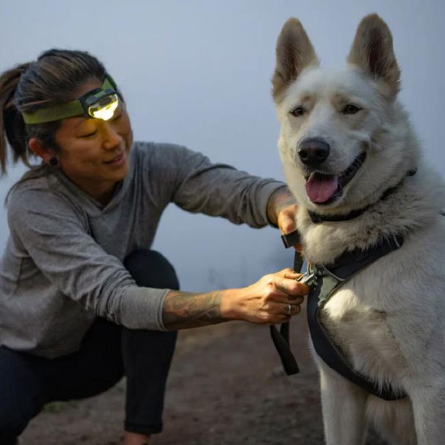 Ruffwear Front Range