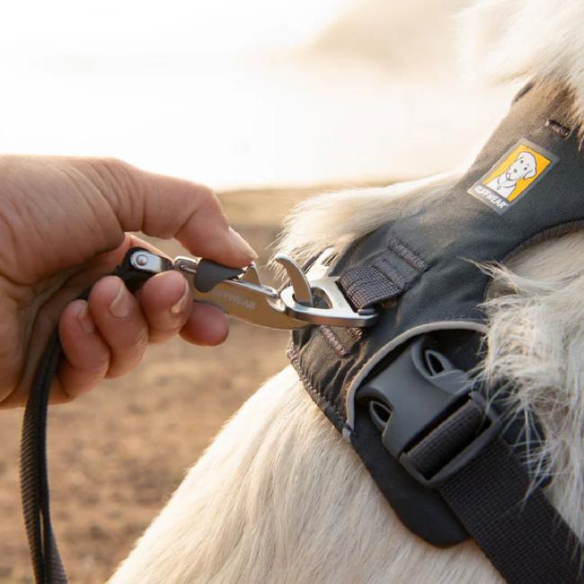 Ruffwear Front Range