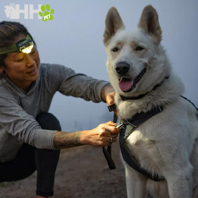 Ruffwear Front Range