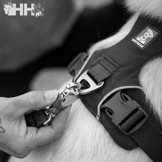 Ruffwear Front Range