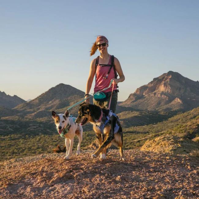 Ruffwear Swamp Cooler
