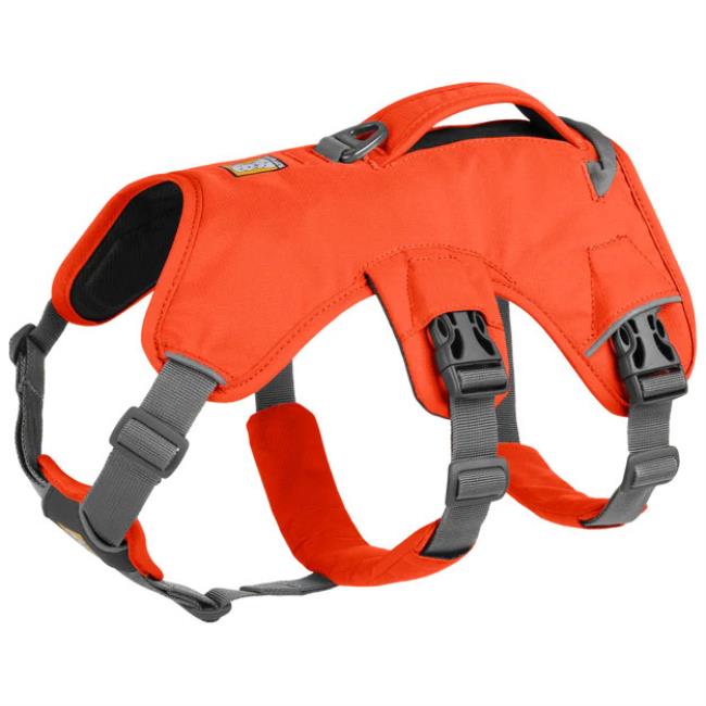 Ruffwear Web Master