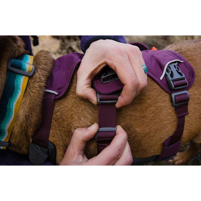 Ruffwear Web Master