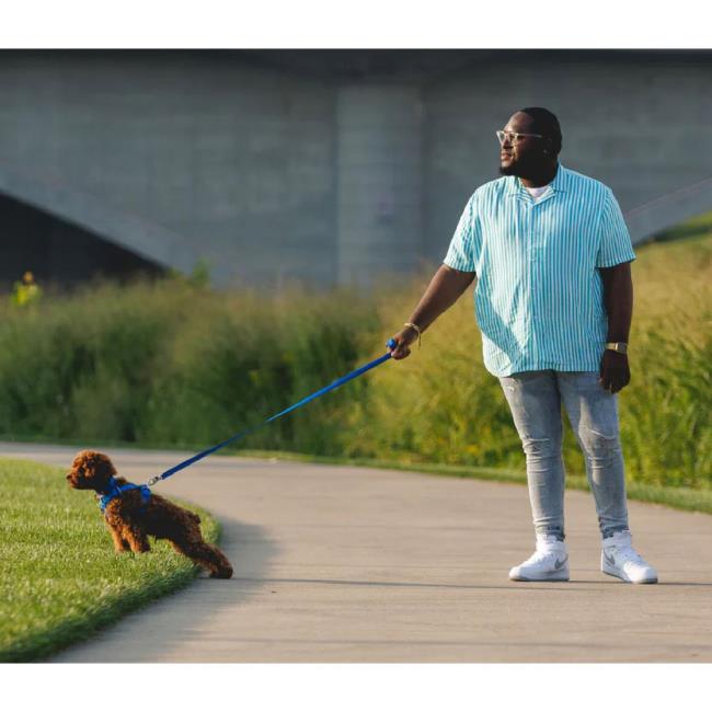Ruffwear Front Range