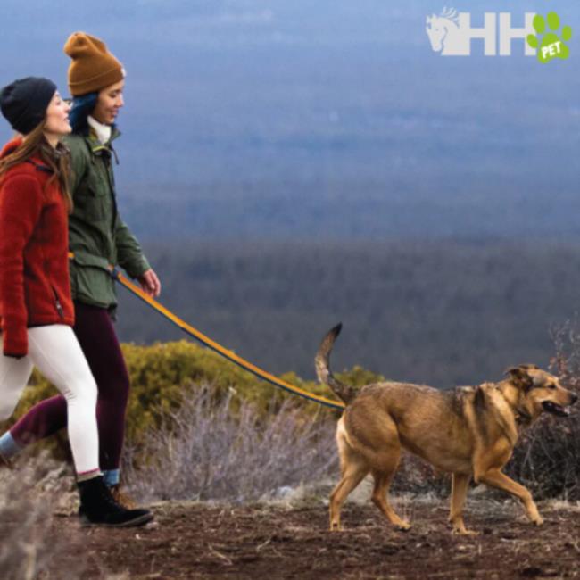 Ruffwear Correa Elástica Roamer